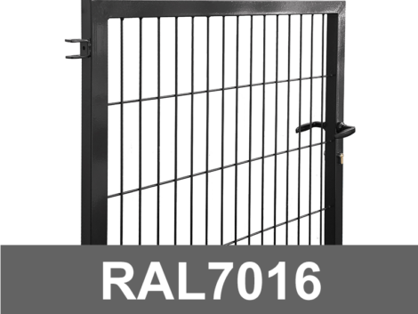 jalgvarav-STRONG-ral-7016-HALL
